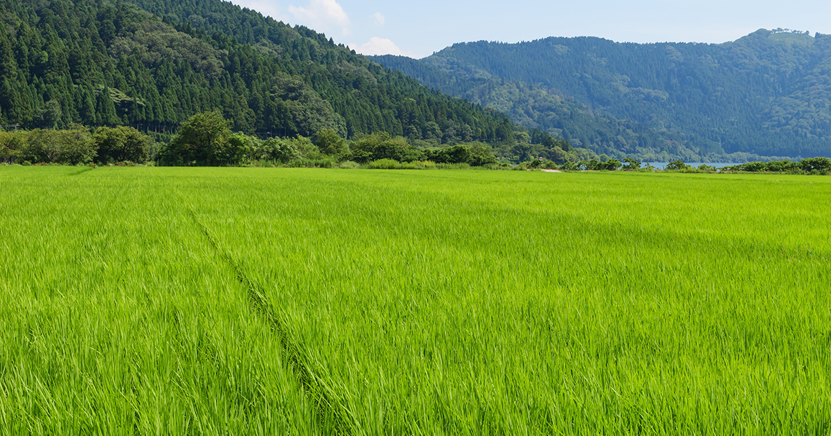 農業の住み込みバイトから始める理想的な働き方